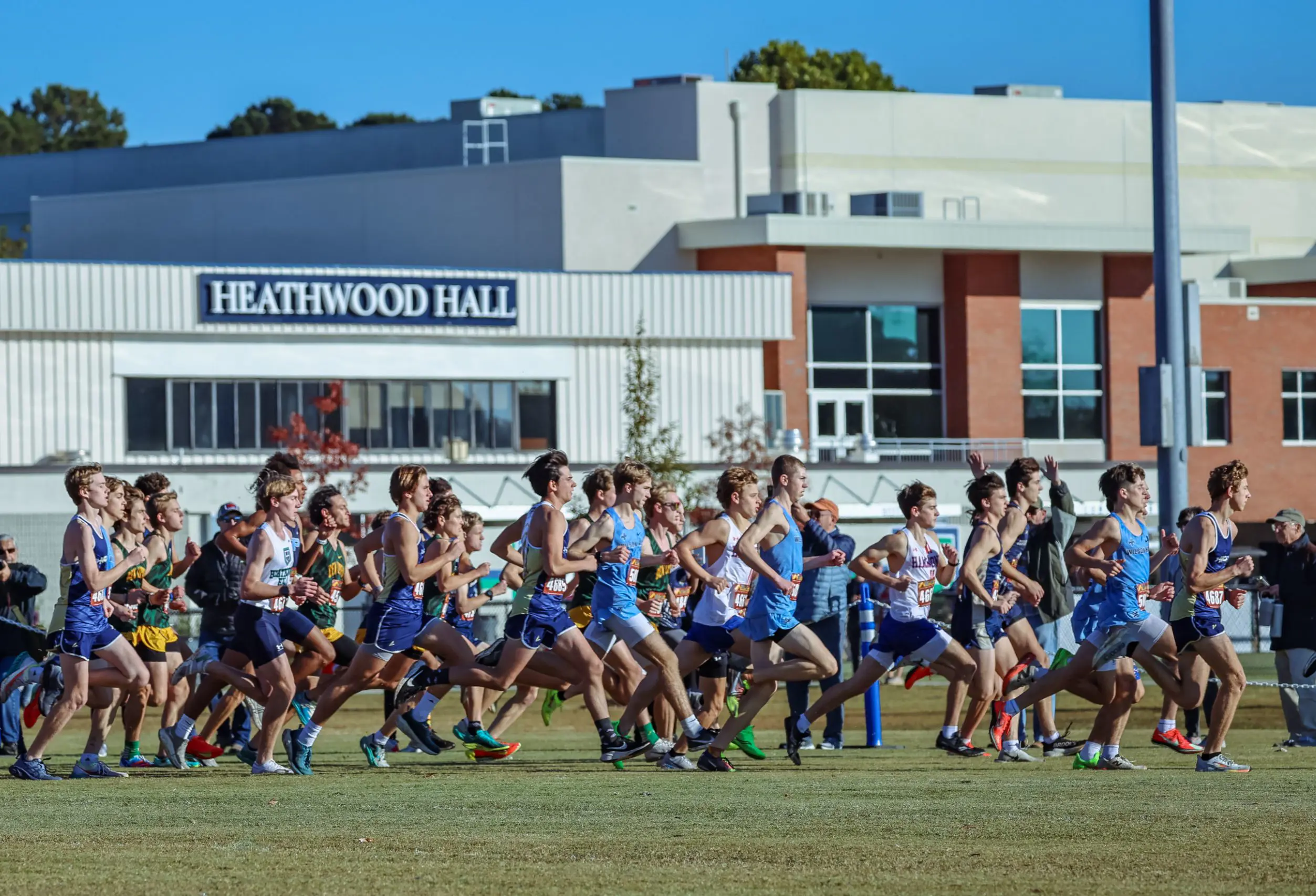  OptimizedImage,,,Optimized