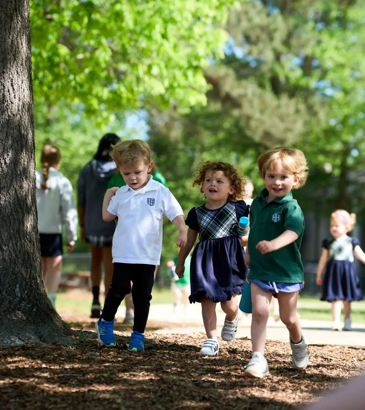  OptimizedImage,,,Optimized