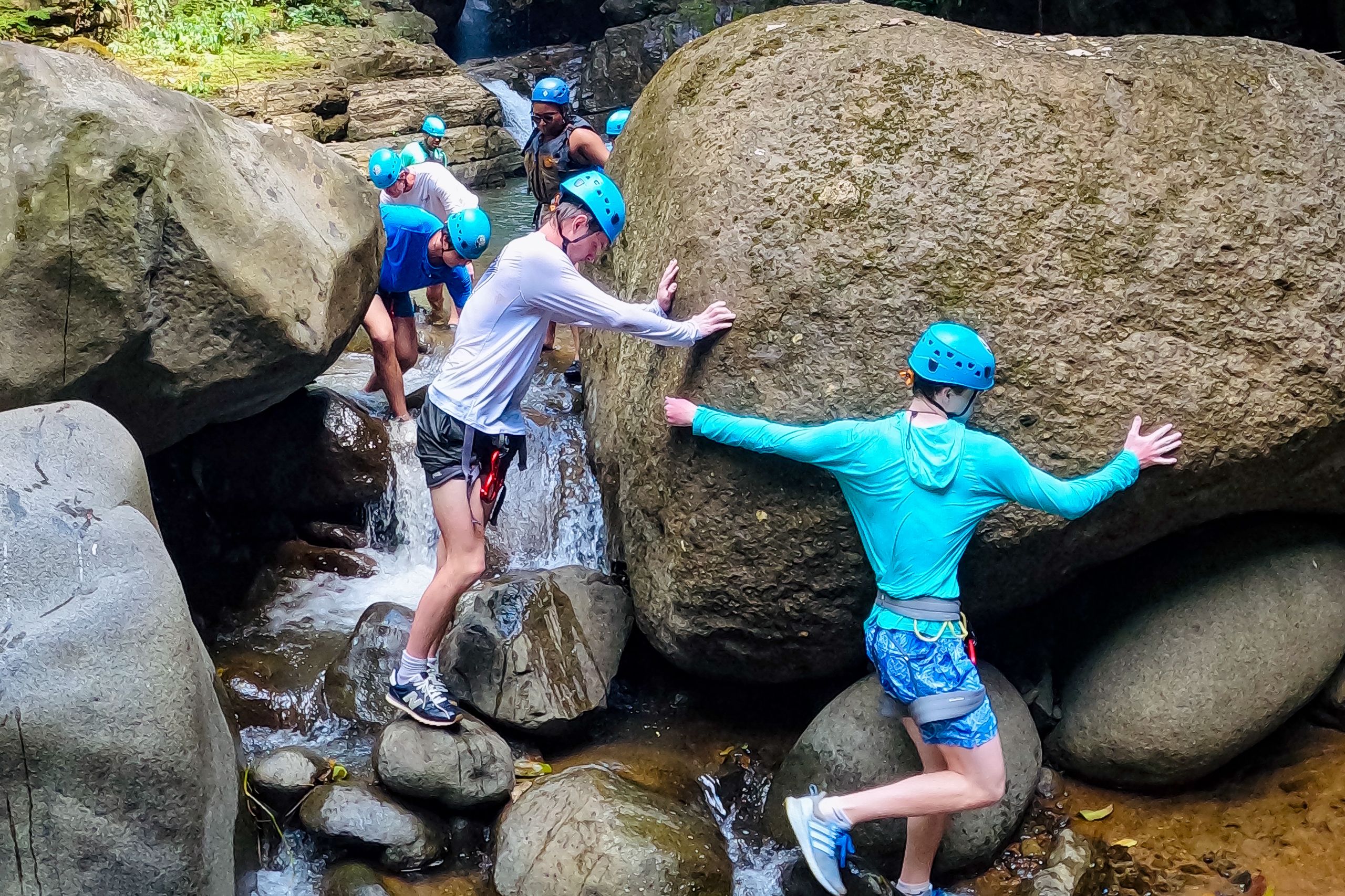 OriginalImage,,,Original