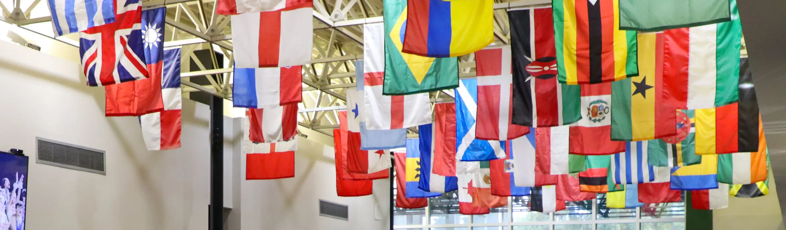  OptimizedImage,,,Optimized