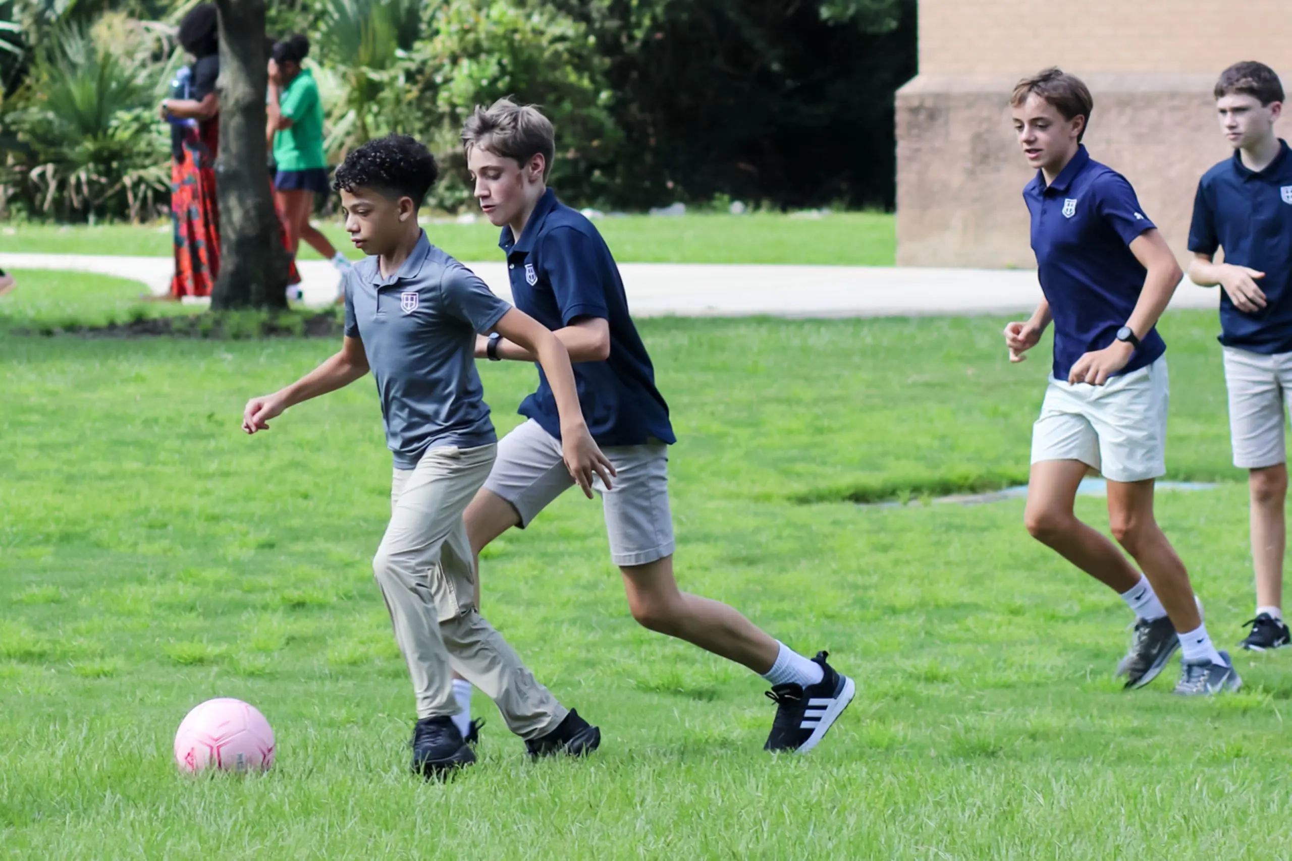 OptimizedImage,,,Optimized